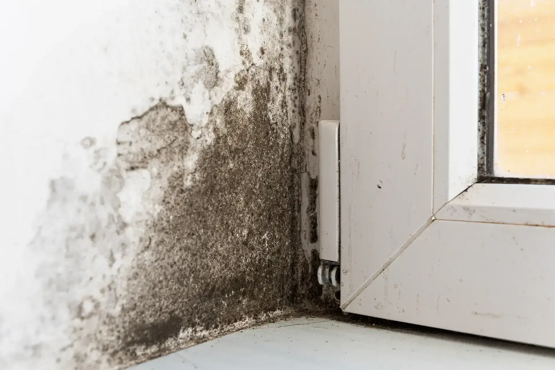 About Water Damage 91 in Hialeah, FL — Hialeah, FL